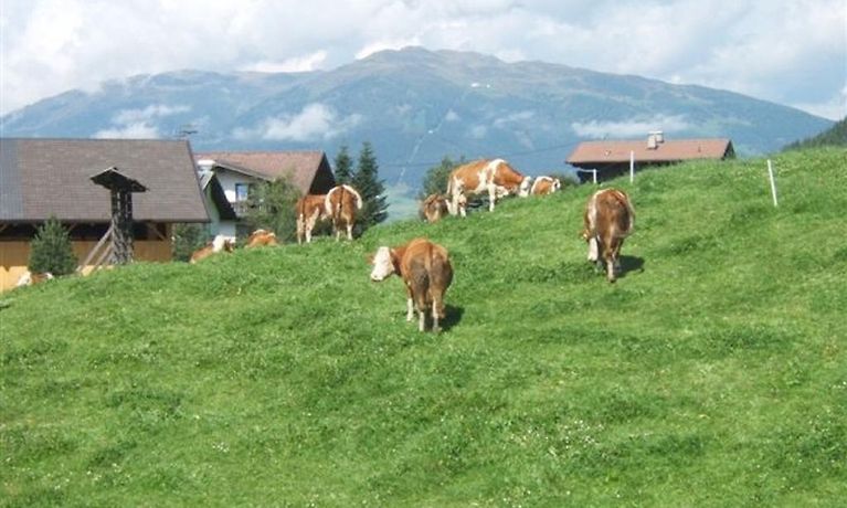 Haus Irmi Kartitsch